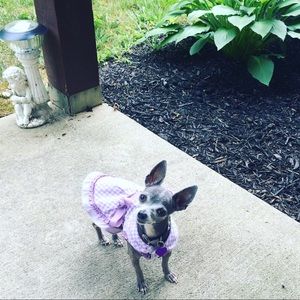 Hello spring! I am feeling quite Posh! 💕😘💋